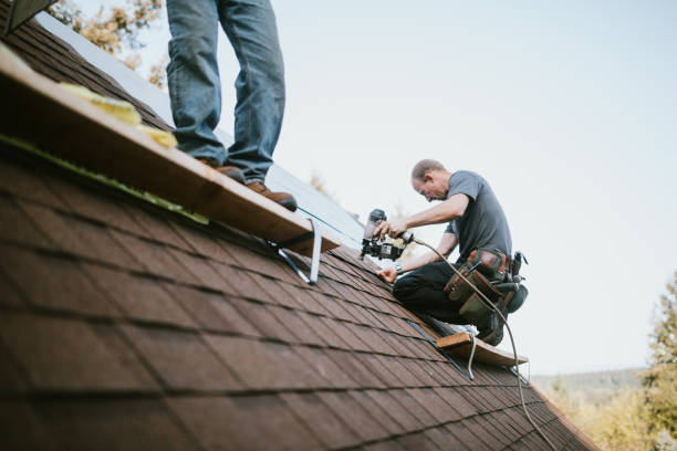 Roof Gutter Cleaning in Keno, OR